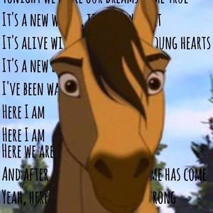 Meet your Posher, Esther